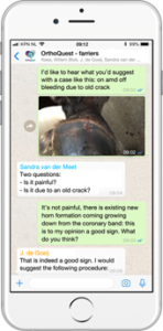 iphone orthoquest screen-farriers-170
