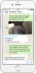 iphone orthoquest screen-farriers-350