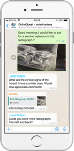 iphone orthoquest screen-veterinarians-170