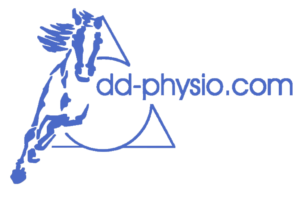 DDphysio_smdc_orthoquest_logo